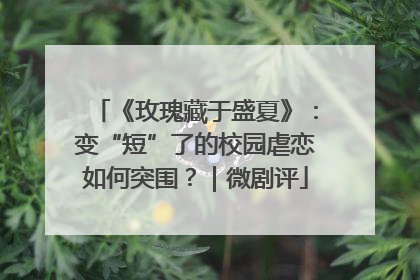 《玫瑰藏于盛夏》：变“短”了的校园虐恋如何突围？｜微剧评