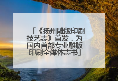 《扬州雕版印刷技艺志》首发，为国内首部专业雕版印刷全媒体志书