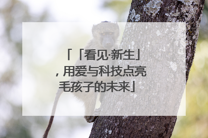「看见·新生」，用爱与科技点亮毛孩子的未来