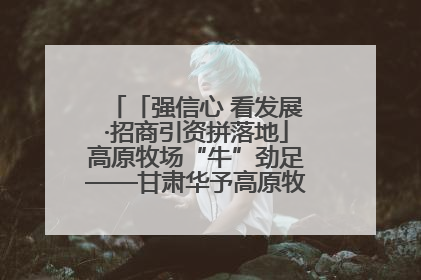 「强信心 看发展·招商引资拼落地」高原牧场“牛”劲足——甘肃华予高原牧场高标准奶牛肉牛养殖项目一线见闻