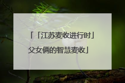 「江苏麦收进行时」父女俩的智慧麦收