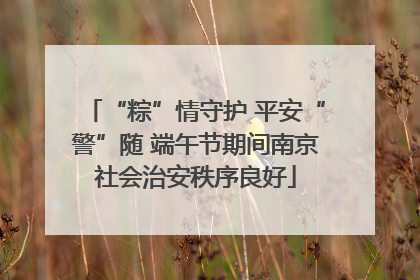“粽”情守护 平安“警”随 端午节期间南京社会治安秩序良好