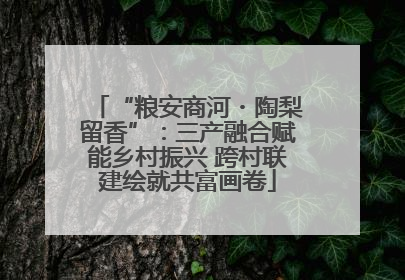 “粮安商河・陶梨留香”：三产融合赋能乡村振兴 跨村联建绘就共富画卷
