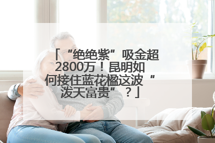 “绝绝紫”吸金超2800万！昆明如何接住蓝花楹这波“泼天富贵”？