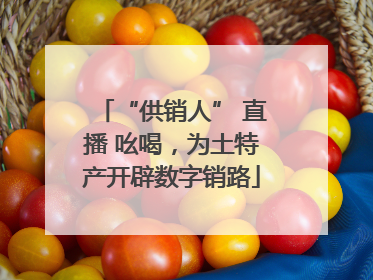 “供销人” 直播 吆喝，为土特产开辟数字销路