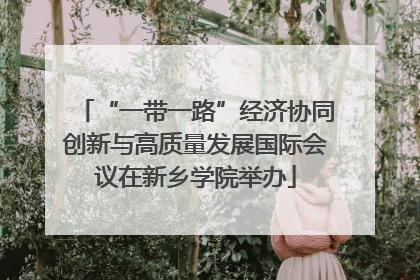 “一带一路”经济协同创新与高质量发展国际会议在新乡学院举办