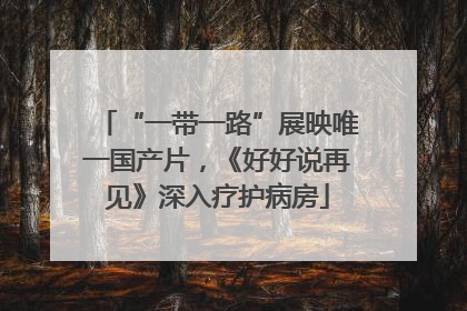 “一带一路”展映唯一国产片，《好好说再见》深入疗护病房