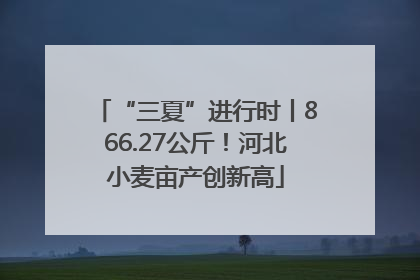 “三夏”进行时丨866.27公斤！河北小麦亩产创新高