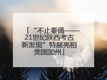 “不止秦俑——21世纪陕西考古新发现”特展亮相美国加州