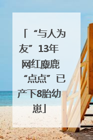 “与人为友”13年 网红麋鹿“点点”已产下8胎幼崽