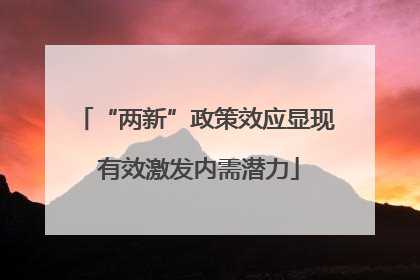 “两新”政策效应显现 有效激发内需潜力