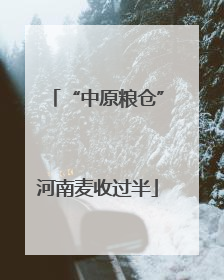 “中原粮仓”河南麦收过半