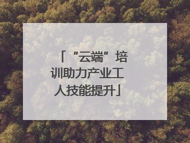 “云端”培训助力产业工人技能提升