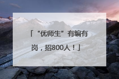 “优师生”有编有岗，招800人！