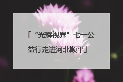 “光辉视界”七一公益行走进河北顺平