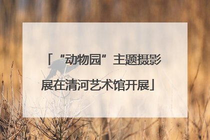 “动物园”主题摄影展在清河艺术馆开展