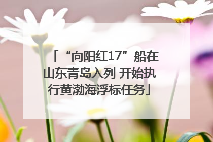 “向阳红17”船在山东青岛入列 开始执行黄渤海浮标任务
