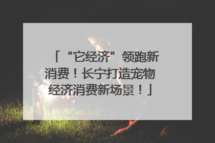 “它经济”领跑新消费！长宁打造宠物经济消费新场景！