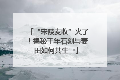 “宋陵麦收”火了！揭秘千年石刻与麦田如何共生→