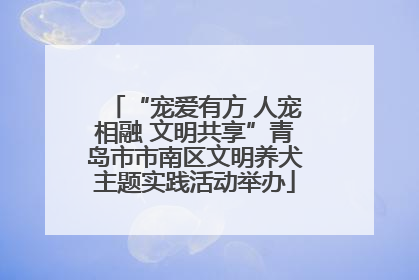 “宠爱有方 人宠相融 文明共享”青岛市市南区文明养犬主题实践活动举办