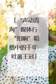 “声动青海”媒体行“扣响”暗格中的千年吐蕃王冠
