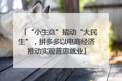 “小生意”撬动“大民生”，拼多多以电商经济推动实现普惠就业