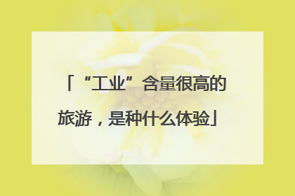 “工业”含量很高的旅游，是种什么体验
