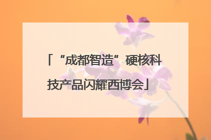 “成都智造”硬核科技产品闪耀西博会