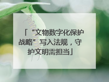 “文物数字化保护战略”写入法规，守护文明需担当