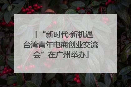 “新时代·新机遇 台湾青年电商创业交流会”在广州举办