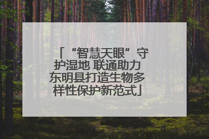 “智慧天眼”守护湿地 联通助力东明县打造生物多样性保护新范式