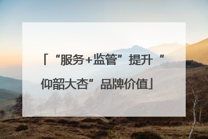 “服务+监管”提升“仰韶大杏”品牌价值