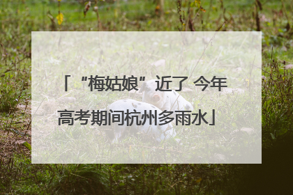 “梅姑娘”近了 今年高考期间杭州多雨水