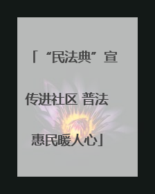 “民法典”宣传进社区 普法惠民暖人心