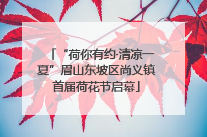 “荷你有约·清凉一夏”眉山东坡区尚义镇首届荷花节启幕