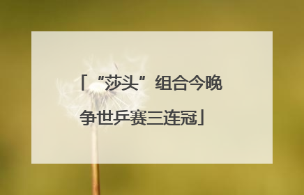 “莎头”组合今晚争世乒赛三连冠