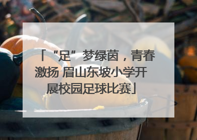 “足”梦绿茵，青春激扬 眉山东坡小学开展校园足球比赛