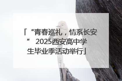 “青春巡礼，情系长安” 2025西安高中学生毕业季活动举行