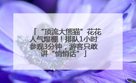 “顶流大熊猫”花花人气爆棚！排队1小时参观3分钟，游客只敢讲“悄悄话”