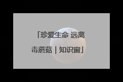 珍爱生命 远离毒蘑菇｜知识窗