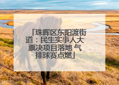 珠晖区东阳渡街道：民生实事人大票决项目落地 气排球赛点燃