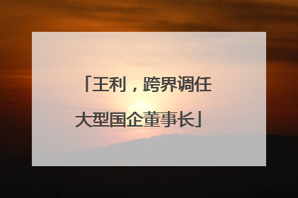王利，跨界调任大型国企董事长