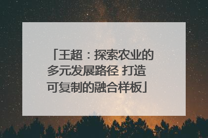 王超：探索农业的多元发展路径 打造可复制的融合样板