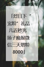 烈日下“宠粉”礼品几近秒光 扬子晚报微信三天增粉8000