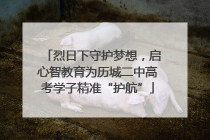 烈日下守护梦想，启心智教育为历城二中高考学子精准“护航”