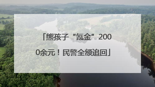 熊孩子“氪金”2000余元！民警全额追回