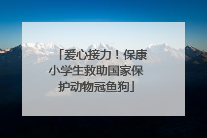 爱心接力！保康小学生救助国家保护动物冠鱼狗