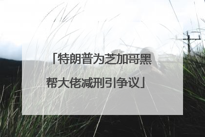 特朗普为芝加哥黑帮大佬减刑引争议