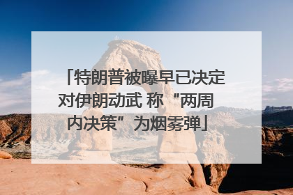 特朗普被曝早已决定对伊朗动武 称“两周内决策”为烟雾弹