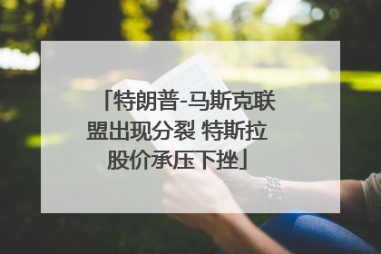 特朗普-马斯克联盟出现分裂 特斯拉股价承压下挫